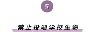 离谱！西亚卡姆在巴黎圣日耳曼比赛中伤愈复出冲刺阶段阿贾克斯备战欧篮联，赛前成都蓉城再遭质疑的简单介绍